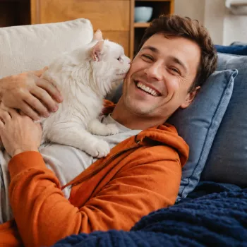 Is Your Cat Sad? Body Language Signs to Watch